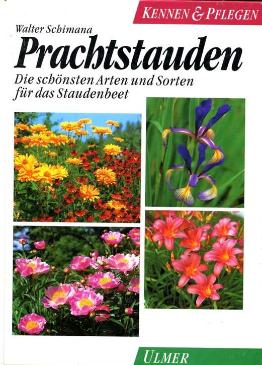 Schimana, Walter: Prachtstauden - Die schönsten Arten und Sorten für das Staudenbeet