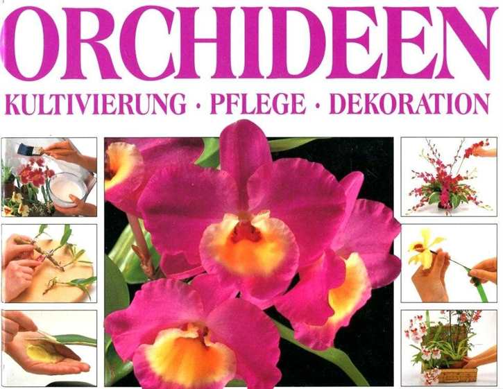 Rittershausen, Wilmar/ Gill und David Oakey/ Sutherland, Neil: Orchideen - Schritt für Schritt - Kultivierung - Pflege - Dekoration